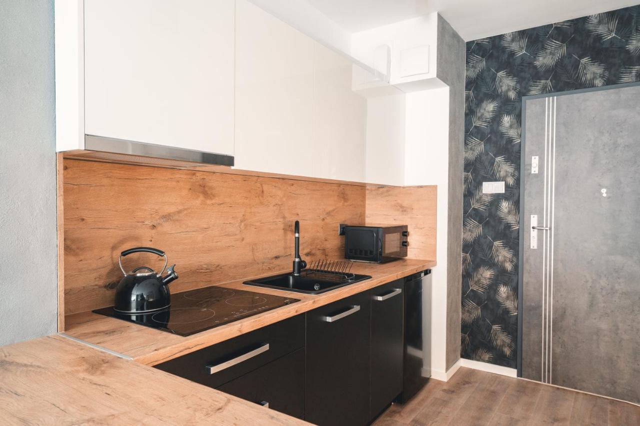Apartament Nr 16 - Zrodlana 2 Appartement Świeradów-Zdrój Buitenkant foto