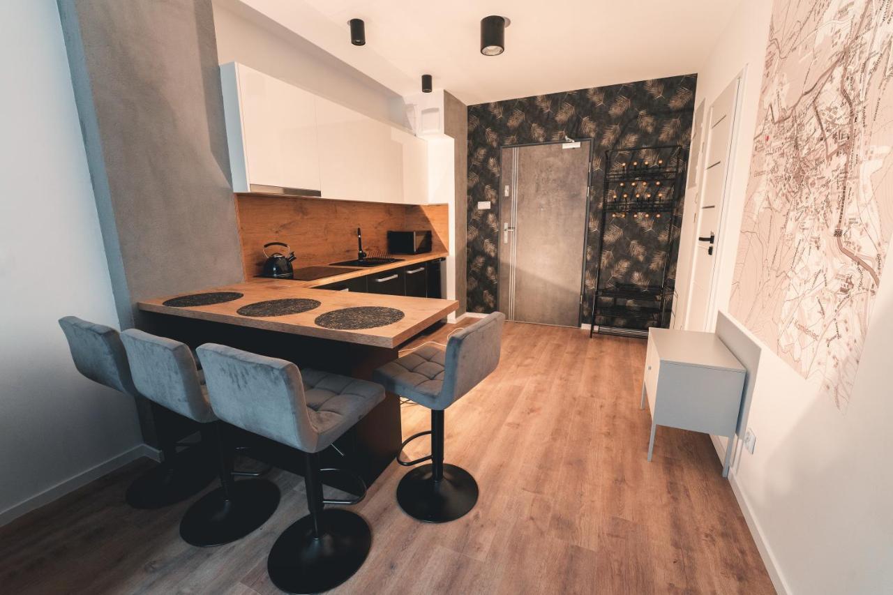 Apartament Nr 16 - Zrodlana 2 Appartement Świeradów-Zdrój Buitenkant foto